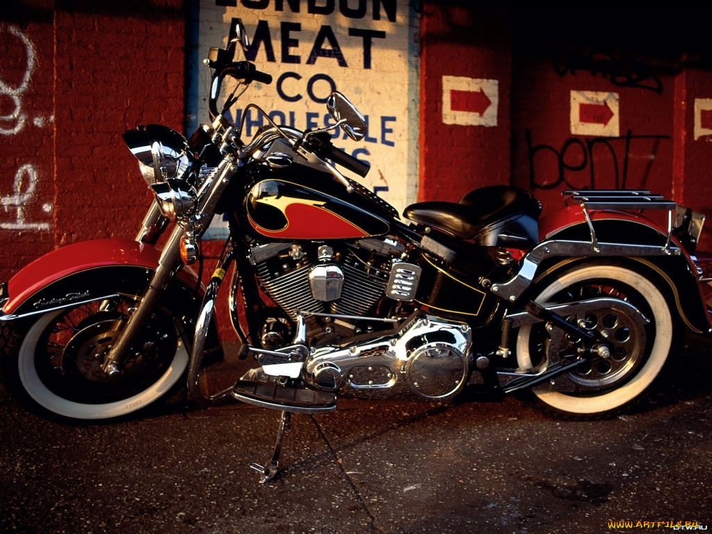 , harley, davidson